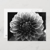 Öffnen aller Ebenen Postkarte (Vorne/Hinten)