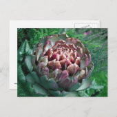 Öffnen Sie die Pflanze Artichoke. Postkarte (Vorne/Hinten)