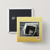 Öffnen Sie die Tür Button (Vorne & Hinten)