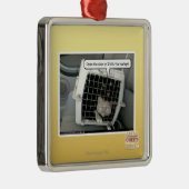 Öffnen Sie die Tür Silbernes Ornament (Rechts)