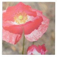 Öffnen Sie Herz-Mohnblumen-BlumenKeramik-Fliese