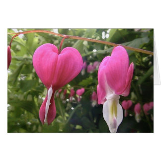 öffnen Sie Ihr Herz