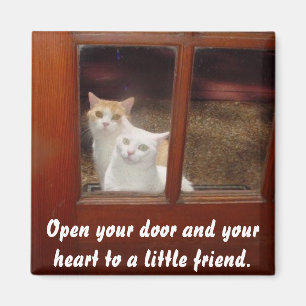 Öffnen Sie Ihr Herz Magnet