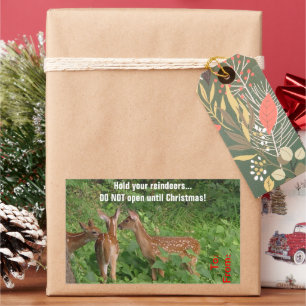 Öffnen Sie nicht vor Weihnachten Hirsch-Geschenk-T Rechteckiger Aufkleber