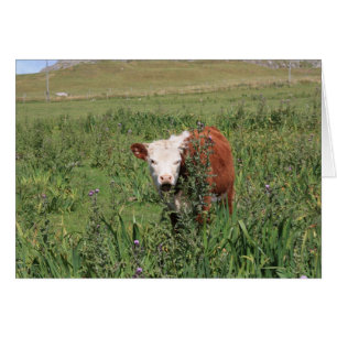 Öffnen Sie sich weit