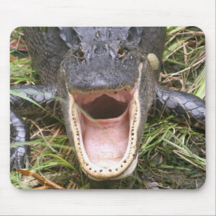 Öffnen Sie sich weit! Florida-Alligator Mousepad