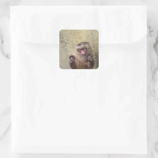 Öffnen Sie weit! Otter Stickers (Tasche)