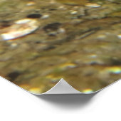 Öffnen Sie weit! Poster (Ecke)