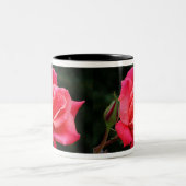 Öffnungs-Rose Zweifarbige Tasse (Mittel)