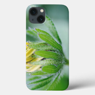 Öffnungsblüte der Kegelblume Case-Mate iPhone Hülle