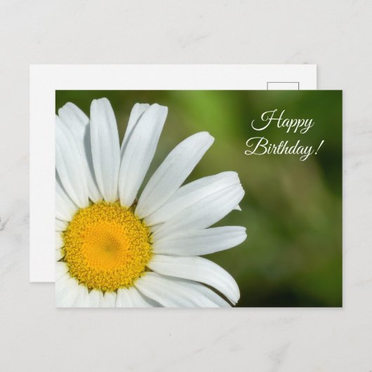 Offset Daisy Happy Birthday Postcard Postkarte (Vorne/Hinten)
