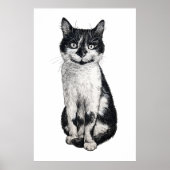 Ogie die Katze Poster (Vorne)