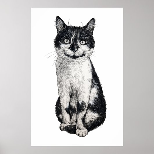 Ogie die Katze Poster (Vorne)