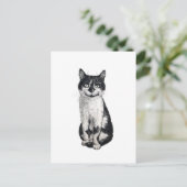 Ogie die Katze Postkarte (Stehend Vorderseite)