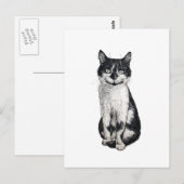 Ogie die Katze Postkarte (Vorne/Hinten)