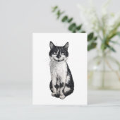 Ogie die Katze Postkarte (Stehend Vorderseite)