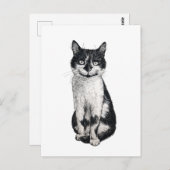 Ogie die Katze Postkarte (Vorne/Hinten)