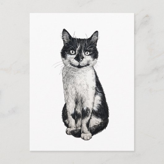 Ogie die Katze Postkarte (Vorderseite)