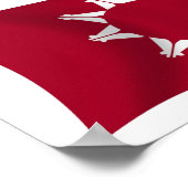 Oglala Lakota Flag Poster Print (Ecke)