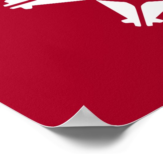 Oglala Lakota Sioux Flag Poster (Ecke)