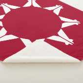 Oglala Lakota Sioux Flag Sherpadecke (3/4)