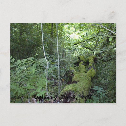 Oglebay Park, WV Postkarte (Vorderseite)