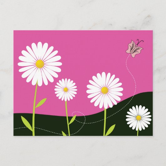 Oh, Daisies! Postkarte (Vorderseite)