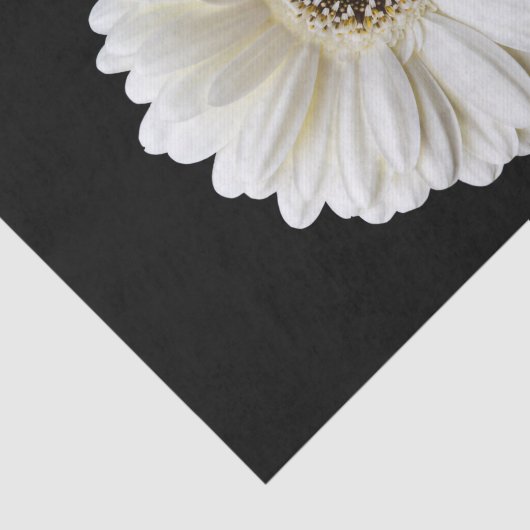 Oh, Daisy! Dekoupage Tissue Paper Seidenpapier (Ausschnitt)