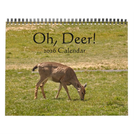 Oh, Deer! 12-Monate-Kalender 2026 Kalender (Titelbild)