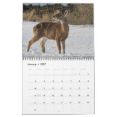 Oh, Deer! 12-month 2026 Calendar Kalender (Jan 2027)