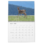 Oh, Deer! 12-month 2026 Calendar Kalender (Mär 2027)