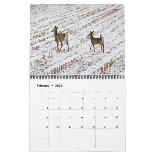 Oh, Deer! 12-month 2026 Calendar Kalender (Feb 2026)