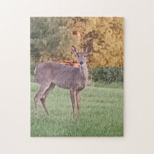 Oh, Deer! Jigsaw Puzzle
