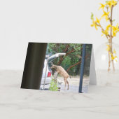 Oh, Deer! Karte (Gelbe Blume)