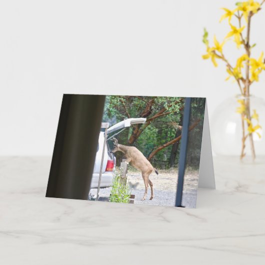 Oh, Deer! Karte (Gelbe Blume)