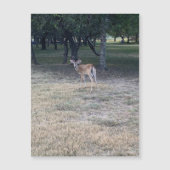 Oh Deer Magnet (Vorderseite)