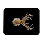 Oh Deer Minimal Design Magnet (Horizontal)