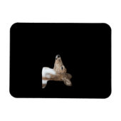 Oh Deer Minimales Modernes Design Magnet (Horizontal)