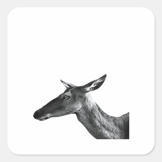 Oh Deer Modern Aesthetic Vibe  Quadratischer Aufkleber (Vorderseite)