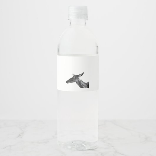 Oh Deer Modern Aesthetic Vibe Wasserflaschenetikett (Vorderseite)
