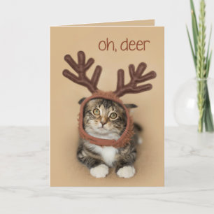 Oh Deer Reindeer Kitten Feiertagskarte