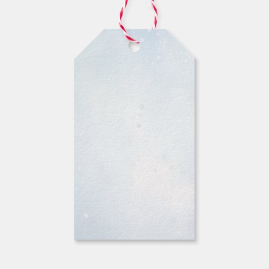 Oh Deer Winter Boy Baby Dusche Geschenkanhänger (Rückseite)