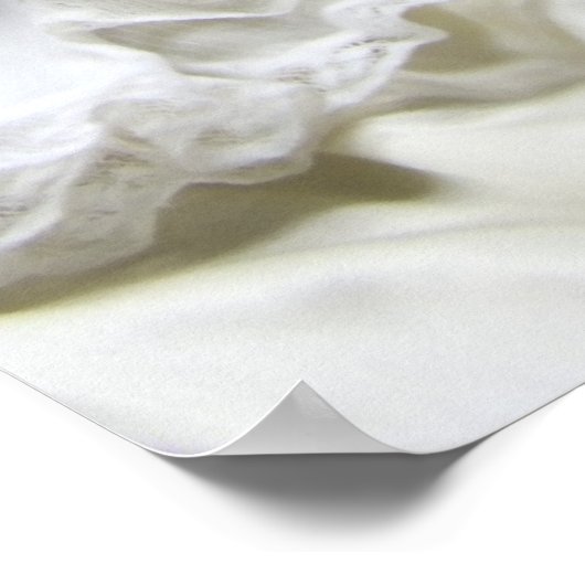 Oh Dolly Poster (Ecke)