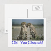 Oh! Du Gepard! Postkarte (Vorne/Hinten)