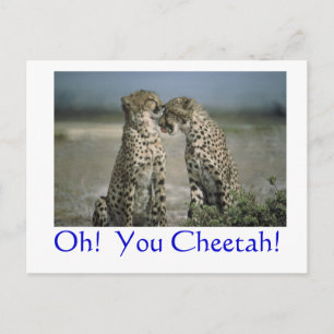 Oh! Du Gepard! Postkarte