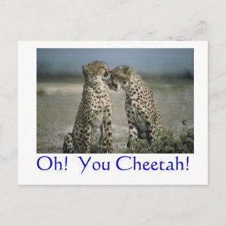 Oh! Du Gepard! Postkarte