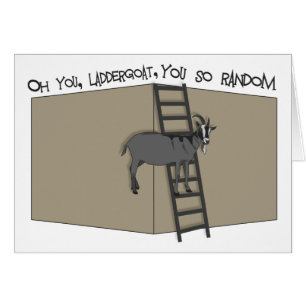 Oh, du, LadderGoat, du so zufällig