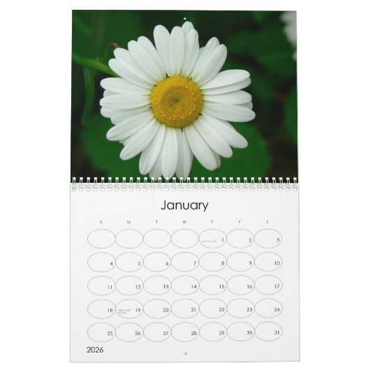Oh Gänseblümchen-Wandkalender Kalender (Jan 2026)