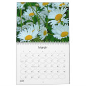 Oh Gänseblümchen-Wandkalender Kalender (Mär 2026)