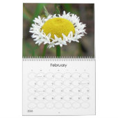 Oh Gänseblümchen-Wandkalender Kalender (Feb 2026)